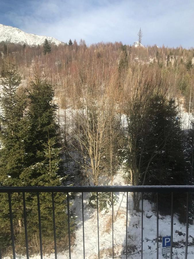 Apartmány Vila Vlasta Vysoké Tatry Exterior foto